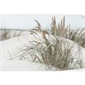 Picture of Sand Dunes _GroupedProduct_Rectangle_Landscape_Photography _GroupedProduct_Rectangle_Landscape_Unframed_Print_Only_