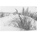 Picture of Sand Dunes _GroupedProduct_Rectangle_Landscape_Photography _GroupedProduct_Rectangle_Landscape_Unframed_Print_Only_