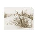 Picture of Sand Dunes _GroupedProduct_Rectangle_Landscape_Photography _GroupedProduct_Rectangle_Landscape_Unframed_Print_Only_