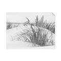 Picture of Sand Dunes _GroupedProduct_Rectangle_Landscape_Photography _GroupedProduct_Rectangle_Landscape_Unframed_Print_Only_
