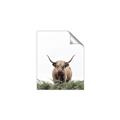 Picture of Cow on the Range _GroupedProduct_Rectangle_Portrait_Photography _GroupedProduct_Rectangle_Portrait_Unframed_Print_Only_