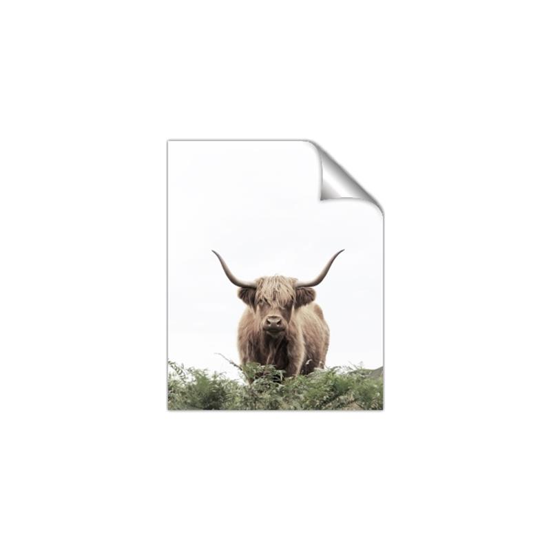 Picture of Cow on the Range _GroupedProduct_Rectangle_Portrait_Photography _GroupedProduct_Rectangle_Portrait_Unframed_Print_Only_