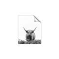 Picture of Cow on the Range _GroupedProduct_Rectangle_Portrait_Photography _GroupedProduct_Rectangle_Portrait_Unframed_Print_Only_