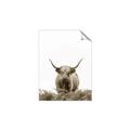 Picture of Cow on the Range _GroupedProduct_Rectangle_Portrait_Photography _GroupedProduct_Rectangle_Portrait_Unframed_Print_Only_