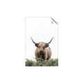 Picture of Cow on the Range _GroupedProduct_Rectangle_Portrait_Photography _GroupedProduct_Rectangle_Portrait_Unframed_Print_Only_
