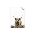 Picture of Cow on the Range _GroupedProduct_Rectangle_Portrait_Photography _GroupedProduct_Rectangle_Portrait_Unframed_Print_Only_