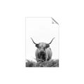 Picture of Cow on the Range _GroupedProduct_Rectangle_Portrait_Photography _GroupedProduct_Rectangle_Portrait_Unframed_Print_Only_
