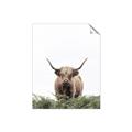 Picture of Cow on the Range _GroupedProduct_Rectangle_Portrait_Photography _GroupedProduct_Rectangle_Portrait_Unframed_Print_Only_