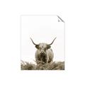 Picture of Cow on the Range _GroupedProduct_Rectangle_Portrait_Photography _GroupedProduct_Rectangle_Portrait_Unframed_Print_Only_