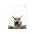 Picture of Cow on the Range _GroupedProduct_Rectangle_Portrait_Photography _GroupedProduct_Rectangle_Portrait_Unframed_Print_Only_