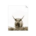 Picture of Cow on the Range _GroupedProduct_Rectangle_Portrait_Photography _GroupedProduct_Rectangle_Portrait_Unframed_Print_Only_