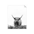 Picture of Cow on the Range _GroupedProduct_Rectangle_Portrait_Photography _GroupedProduct_Rectangle_Portrait_Unframed_Print_Only_