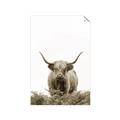 Picture of Cow on the Range _GroupedProduct_Rectangle_Portrait_Photography _GroupedProduct_Rectangle_Portrait_Unframed_Print_Only_