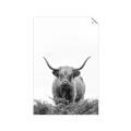 Picture of Cow on the Range _GroupedProduct_Rectangle_Portrait_Photography _GroupedProduct_Rectangle_Portrait_Unframed_Print_Only_