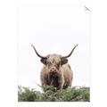 Picture of Cow on the Range _GroupedProduct_Rectangle_Portrait_Photography _GroupedProduct_Rectangle_Portrait_Unframed_Print_Only_