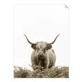 Picture of Cow on the Range _GroupedProduct_Rectangle_Portrait_Photography _GroupedProduct_Rectangle_Portrait_Unframed_Print_Only_