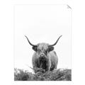 Picture of Cow on the Range _GroupedProduct_Rectangle_Portrait_Photography _GroupedProduct_Rectangle_Portrait_Unframed_Print_Only_