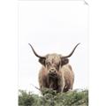Picture of Cow on the Range _GroupedProduct_Rectangle_Portrait_Photography _GroupedProduct_Rectangle_Portrait_Unframed_Print_Only_