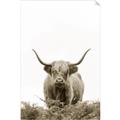 Picture of Cow on the Range _GroupedProduct_Rectangle_Portrait_Photography _GroupedProduct_Rectangle_Portrait_Unframed_Print_Only_