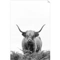 Picture of Cow on the Range _GroupedProduct_Rectangle_Portrait_Photography _GroupedProduct_Rectangle_Portrait_Unframed_Print_Only_