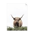 Picture of Cow on the Range _GroupedProduct_Rectangle_Portrait_Photography _GroupedProduct_Rectangle_Portrait_Unframed_Print_Only_