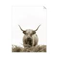 Picture of Cow on the Range _GroupedProduct_Rectangle_Portrait_Photography _GroupedProduct_Rectangle_Portrait_Unframed_Print_Only_