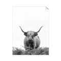 Picture of Cow on the Range _GroupedProduct_Rectangle_Portrait_Photography _GroupedProduct_Rectangle_Portrait_Unframed_Print_Only_