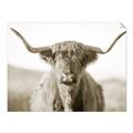 Picture of Shaggy Bull II _GroupedProduct_Rectangle_Landscape_Photography _GroupedProduct_Rectangle_Landscape_Unframed_Print_Only_