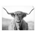 Picture of Shaggy Bull II _GroupedProduct_Rectangle_Landscape_Photography _GroupedProduct_Rectangle_Landscape_Unframed_Print_Only_