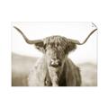 Picture of Shaggy Bull II _GroupedProduct_Rectangle_Landscape_Photography _GroupedProduct_Rectangle_Landscape_Unframed_Print_Only_