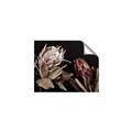 Picture of Beautiful Blooms _GroupedProduct_Rectangle_Landscape_Photography _GroupedProduct_Rectangle_Landscape_Unframed_Print_Only_