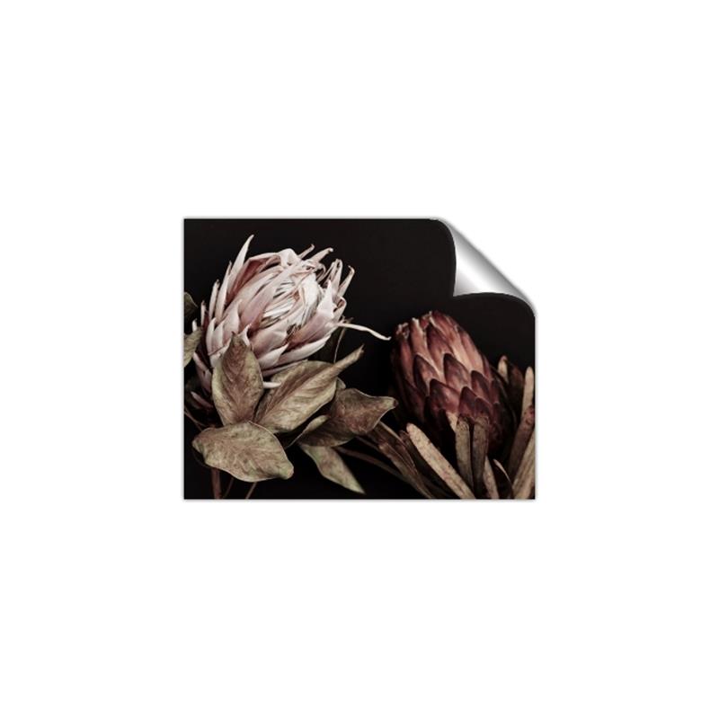 Picture of Beautiful Blooms _GroupedProduct_Rectangle_Landscape_Photography _GroupedProduct_Rectangle_Landscape_Unframed_Print_Only_