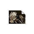 Picture of Beautiful Blooms _GroupedProduct_Rectangle_Landscape_Photography _GroupedProduct_Rectangle_Landscape_Unframed_Print_Only_