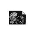 Picture of Beautiful Blooms _GroupedProduct_Rectangle_Landscape_Photography _GroupedProduct_Rectangle_Landscape_Unframed_Print_Only_