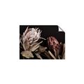 Picture of Beautiful Blooms _GroupedProduct_Rectangle_Landscape_Photography _GroupedProduct_Rectangle_Landscape_Unframed_Print_Only_