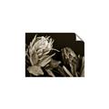 Picture of Beautiful Blooms _GroupedProduct_Rectangle_Landscape_Photography _GroupedProduct_Rectangle_Landscape_Unframed_Print_Only_