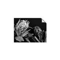 Picture of Beautiful Blooms _GroupedProduct_Rectangle_Landscape_Photography _GroupedProduct_Rectangle_Landscape_Unframed_Print_Only_