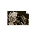 Picture of Beautiful Blooms _GroupedProduct_Rectangle_Landscape_Photography _GroupedProduct_Rectangle_Landscape_Unframed_Print_Only_