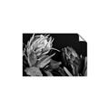 Picture of Beautiful Blooms _GroupedProduct_Rectangle_Landscape_Photography _GroupedProduct_Rectangle_Landscape_Unframed_Print_Only_