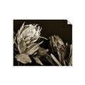 Picture of Beautiful Blooms _GroupedProduct_Rectangle_Landscape_Photography _GroupedProduct_Rectangle_Landscape_Unframed_Print_Only_