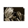 Picture of Beautiful Blooms _GroupedProduct_Rectangle_Landscape_Photography _GroupedProduct_Rectangle_Landscape_Unframed_Print_Only_