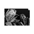 Picture of Beautiful Blooms _GroupedProduct_Rectangle_Landscape_Photography _GroupedProduct_Rectangle_Landscape_Unframed_Print_Only_