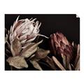 Picture of Beautiful Blooms _GroupedProduct_Rectangle_Landscape_Photography _GroupedProduct_Rectangle_Landscape_Unframed_Print_Only_