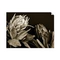 Picture of Beautiful Blooms _GroupedProduct_Rectangle_Landscape_Photography _GroupedProduct_Rectangle_Landscape_Unframed_Print_Only_