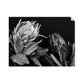 Picture of Beautiful Blooms _GroupedProduct_Rectangle_Landscape_Photography _GroupedProduct_Rectangle_Landscape_Unframed_Print_Only_