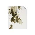 Picture of Branches _GroupedProduct_Rectangle_Portrait_Photography _GroupedProduct_Rectangle_Portrait_Unframed_Print_Only_
