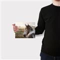 Picture of Horse & the Horizon _GroupedProduct_Rectangle_Landscape_Photography _GroupedProduct_Rectangle_Landscape_Canvas_