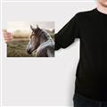 Picture of Horse & the Horizon _GroupedProduct_Rectangle_Landscape_Photography _GroupedProduct_Rectangle_Landscape_Canvas_