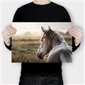 Picture of Horse & the Horizon _GroupedProduct_Rectangle_Landscape_Photography _GroupedProduct_Rectangle_Landscape_Canvas_