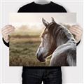 Picture of Horse & the Horizon _GroupedProduct_Rectangle_Landscape_Photography _GroupedProduct_Rectangle_Landscape_Canvas_
